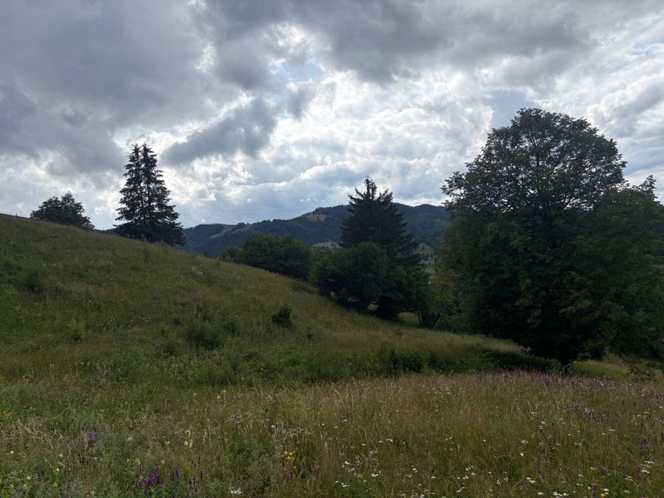 Teren de vânzare
