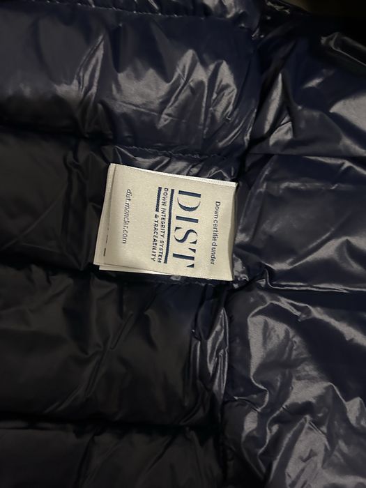 Vesta Gui Navy Blue