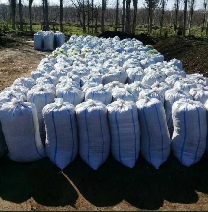 Чернозём для вашего сада (Биогумус)