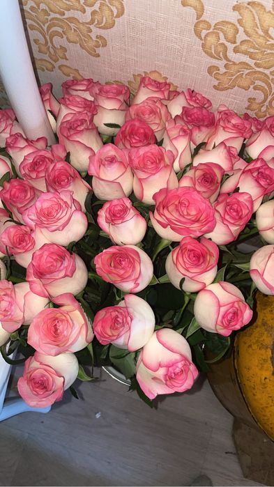 Продам срочно 51 шт