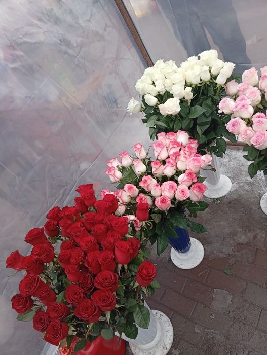 Балқашта Роза гүл сатылады