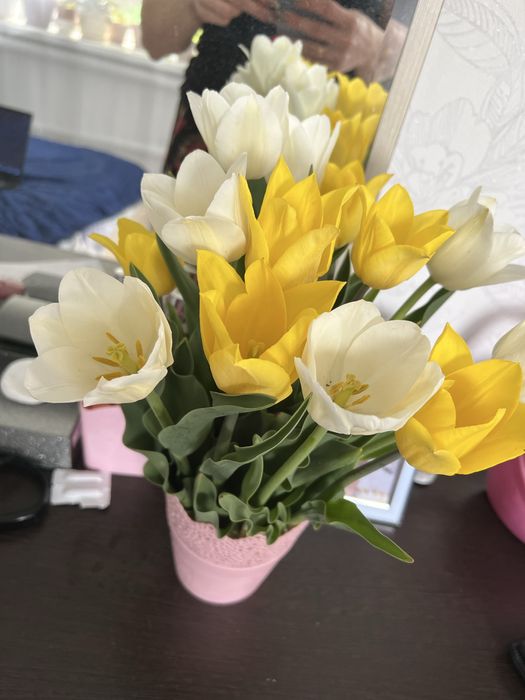 Цветы.Тюльпаны садовые.Айгуль