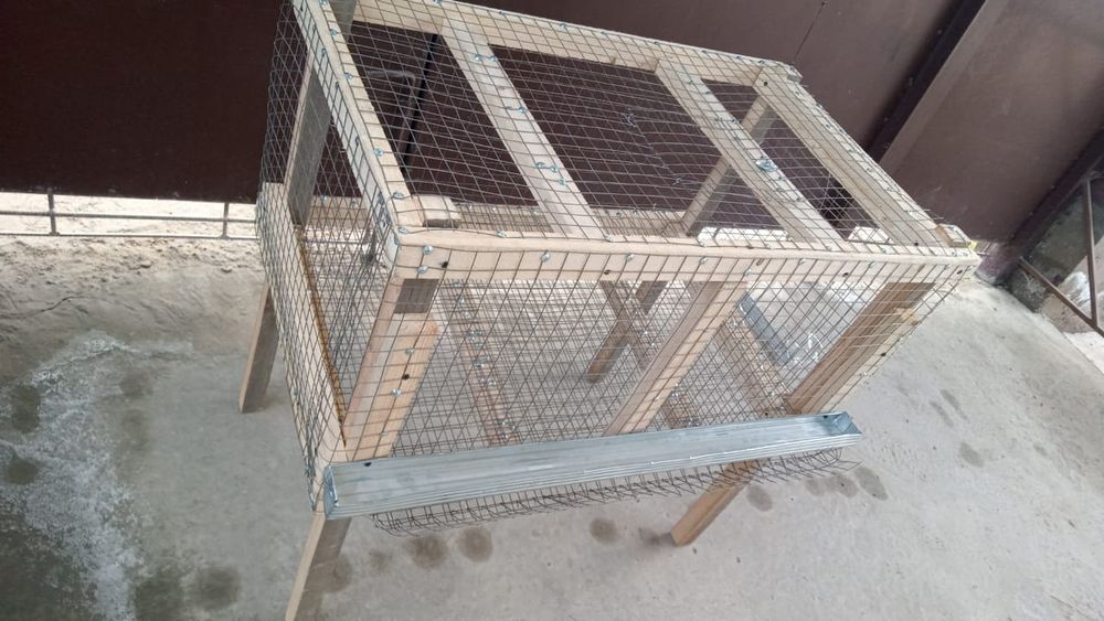 Бодене ге . Коянга арналган клетка