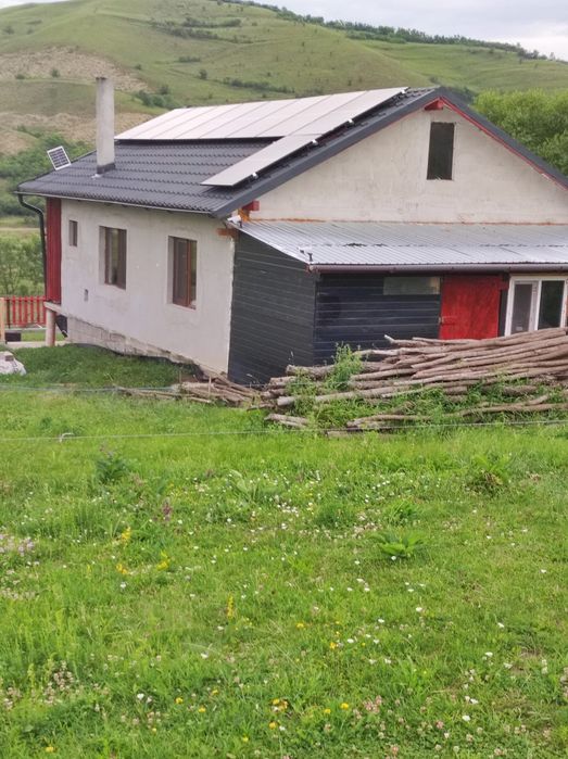 Vând fermă cu un lot de măgărițe.