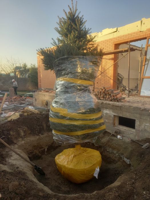 Посадка, пересадка растений.