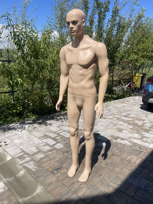 Manechin masculin barbat