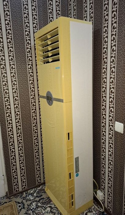 Kanditsaner sotiladi ideal holat 18 lik