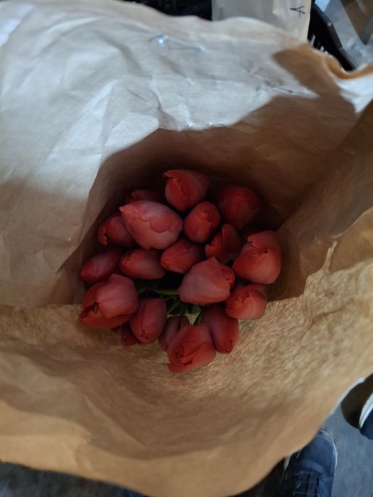 Тюльпаны в наличии Алматы.