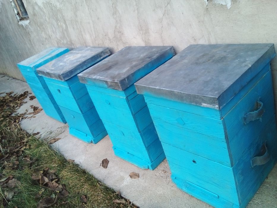 Деревянные пчелинные улья