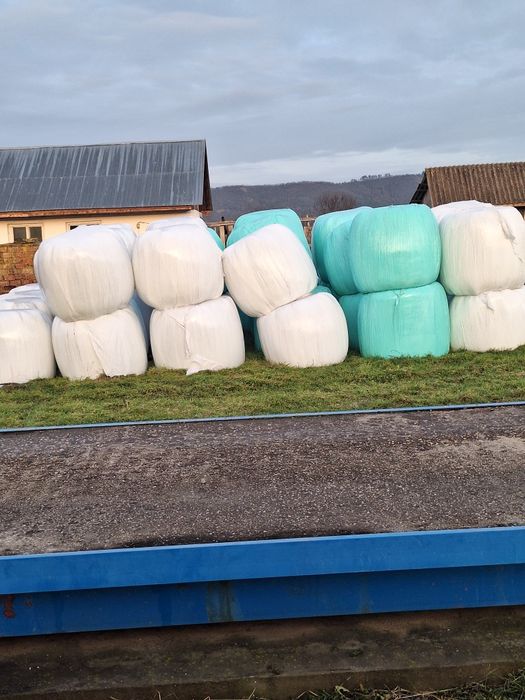 Baloți Lucernă fîn paie de vînzare