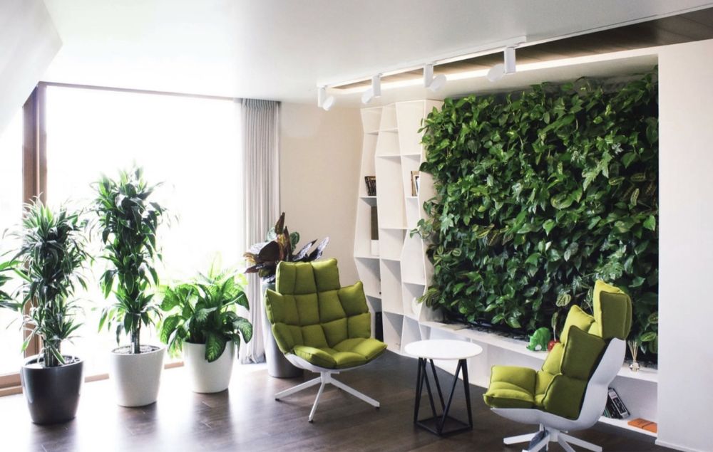 Уход за растениями