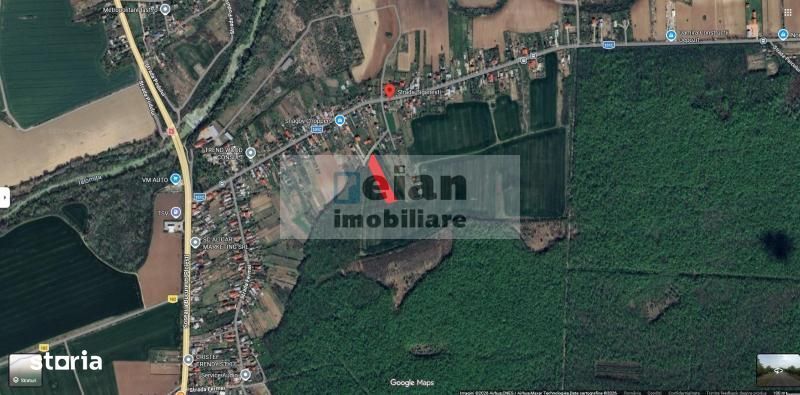 Ciolpani - Padurea Snagov 628 Mp, Toate Utilitatile, Padure, 18 Deschi