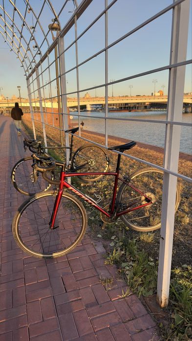 Шоссеник,Giant content 1