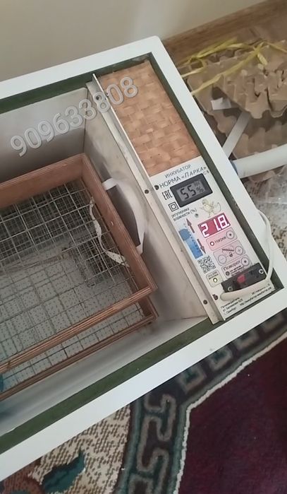 Инкубатор норма луппер ни коттаси норма парка