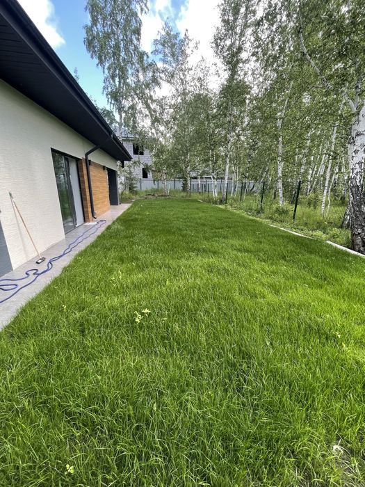 Газон посевной и рулонный