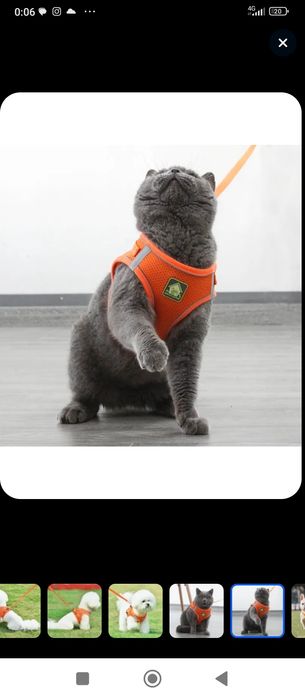 Продам шлейку для кошек(собак)