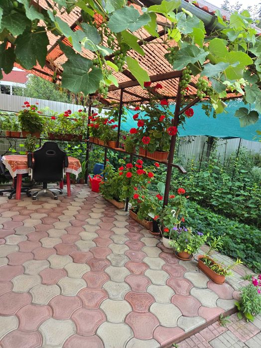 Vand casa individuala Tg Mures zona Libertatii