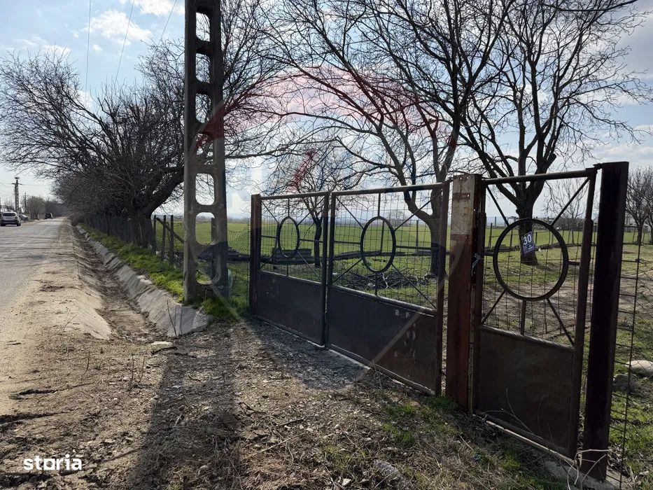 Teren 500 h plus 1000h arenda Vrancea