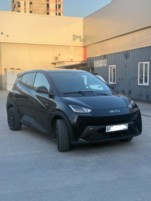 Byd seegull 2024 toza