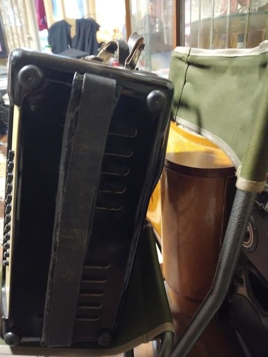 Acordeon de vanzare