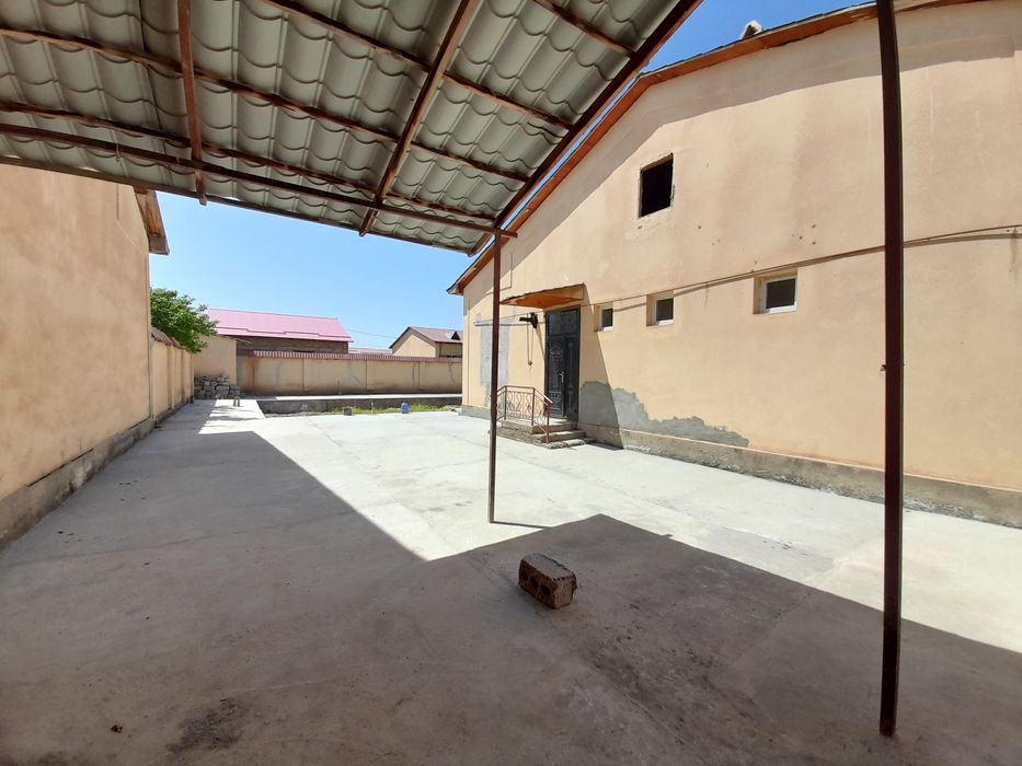 Катеж Сотилади Зелёный Нарпай Дамхужа йонида