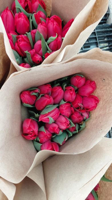 Тюльпаны есть в наличий