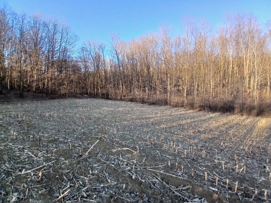 Teren  intravilan cu TITLU DE PĂDURE