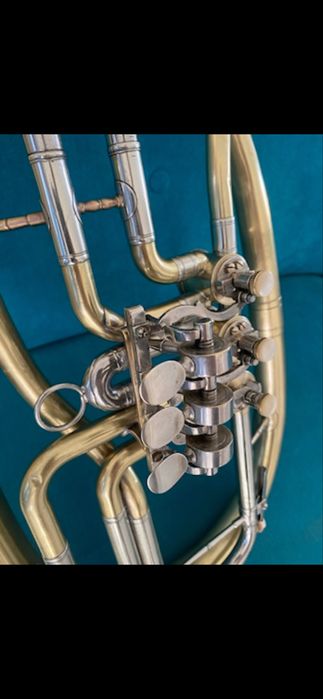 Basflighorn Doina reconditionat