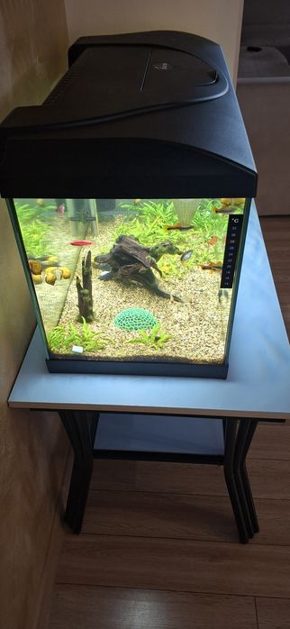 Аквариум Diversa Led 80
