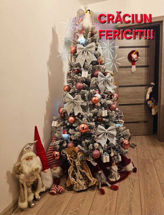 Brad artificial nins