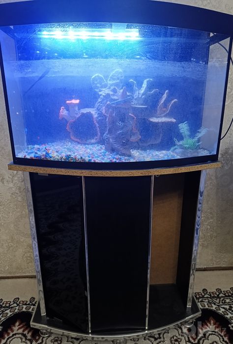 Akvarium sotiladi