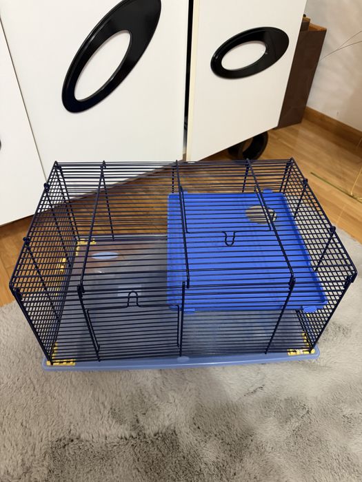 Cusca pentru hasmeri