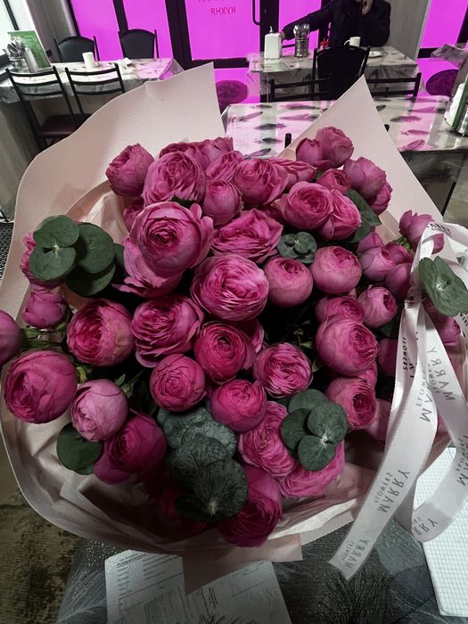 Гул бүгінгі свежий ,