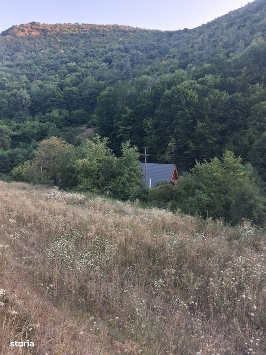 Teren rural de vânzare cu utilități disponibile