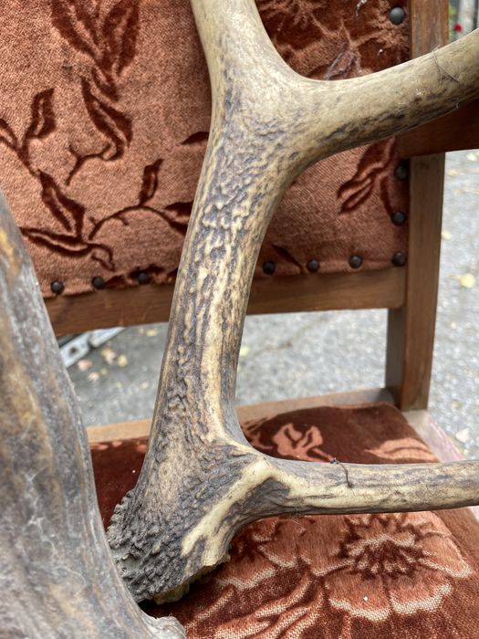 Еленски рога.