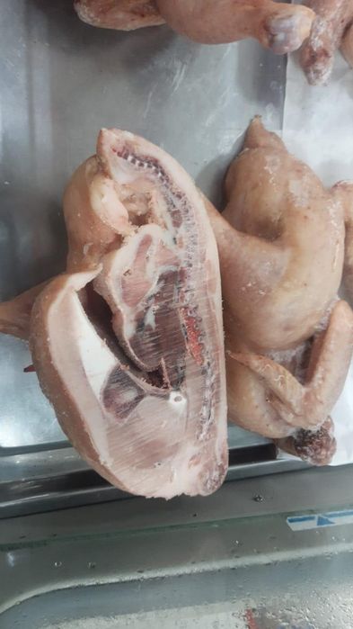 Бройллер домашние