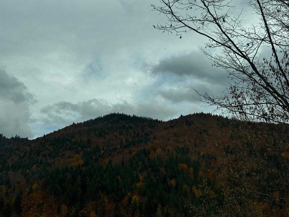 Teren Buhalnița Neamț