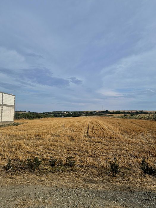 Vand teren intravilan Balș(Vartina), Olt