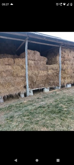 Vând baloți de fân