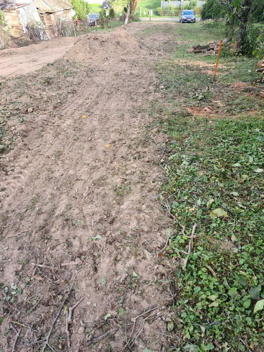 intravilan cu livada de pruni 30 de ari viile satu mare accept schimb - Vedere 2