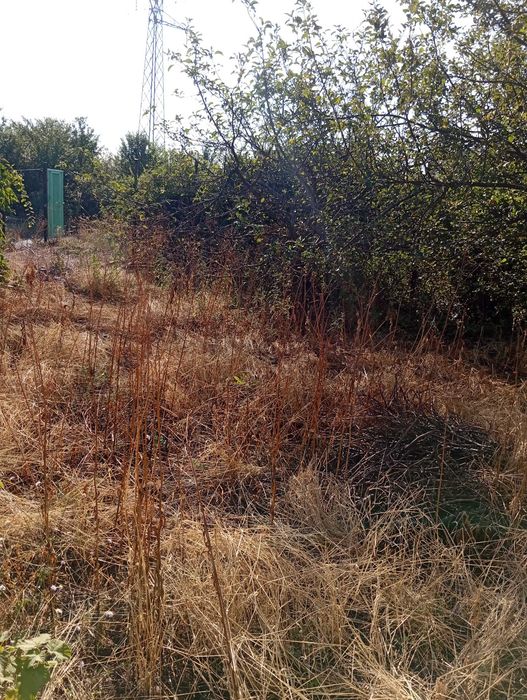 Косене почистване на дворни пространства