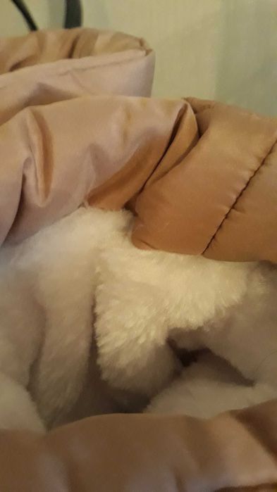 Новые сапоги. Импортные. Зима