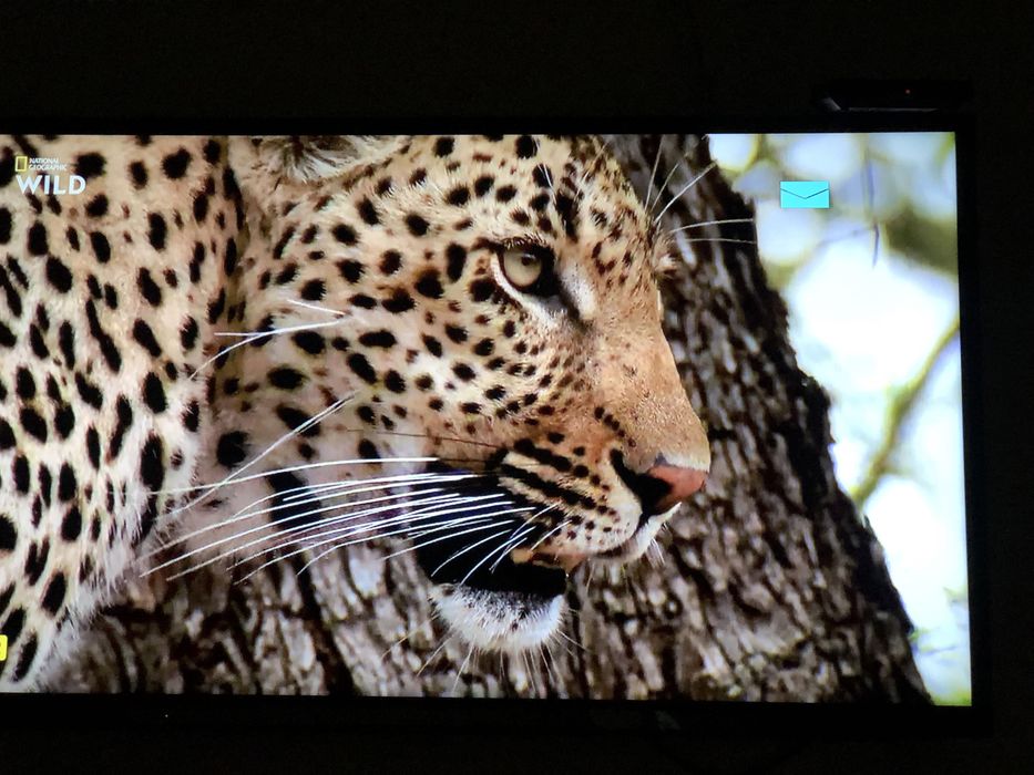 Телевизор Sony bravia 25000т