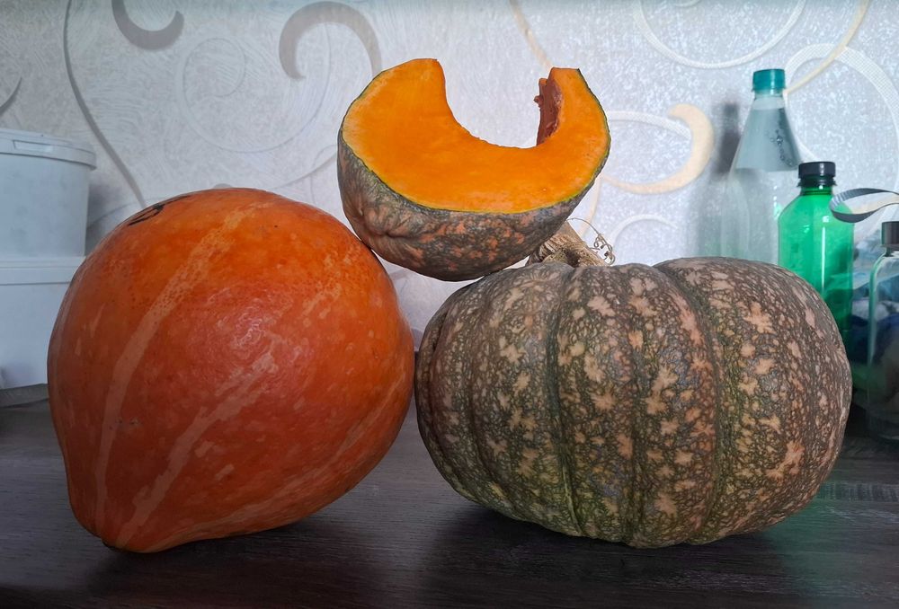 Тыква домашняя вкусная