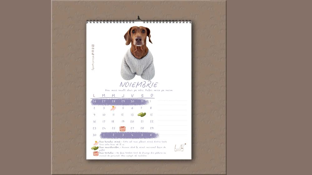 Calendar perete Biscuit