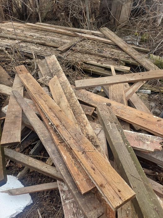 Отынга агаш бар т