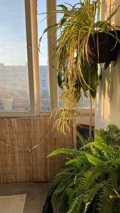 Дава се под наем Двустаен апартамент в София, Младост 4 - 50 кв.м за 561 € - Снимка #1