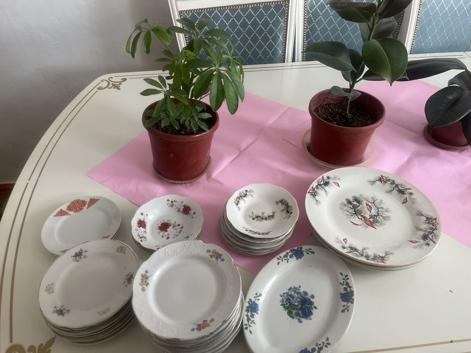 Срочно Тарелки