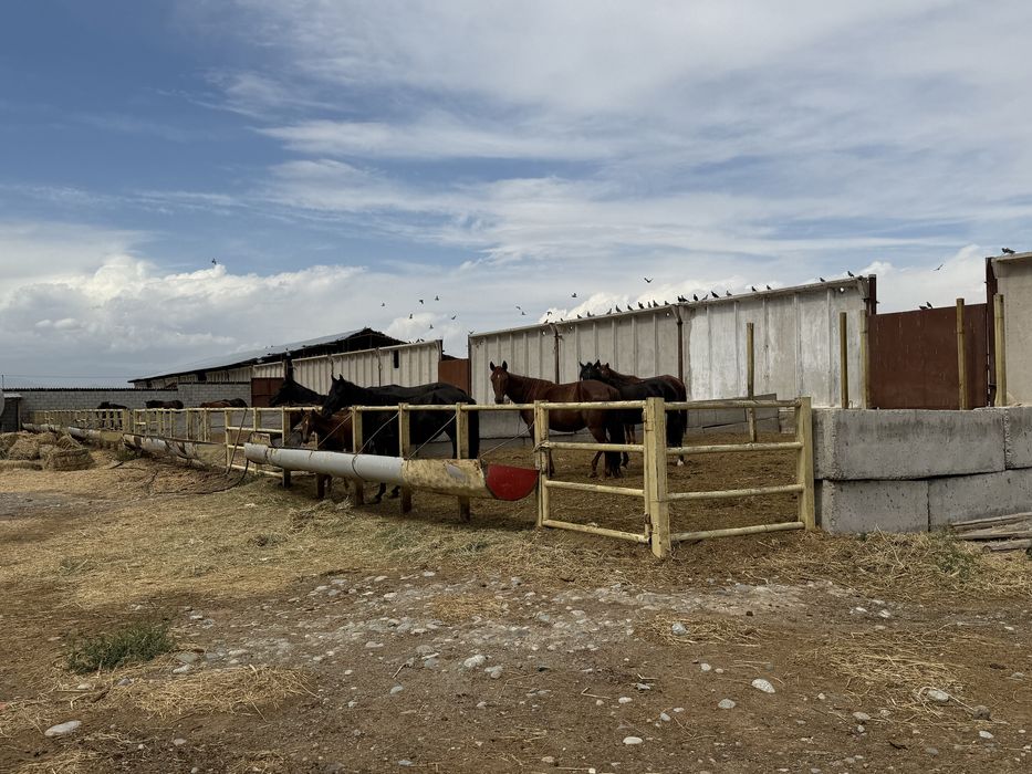 Продается база  5 га частный