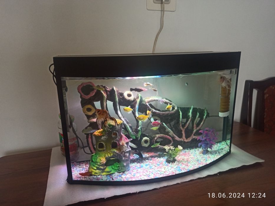 Akvarium va baliqlar sotladi